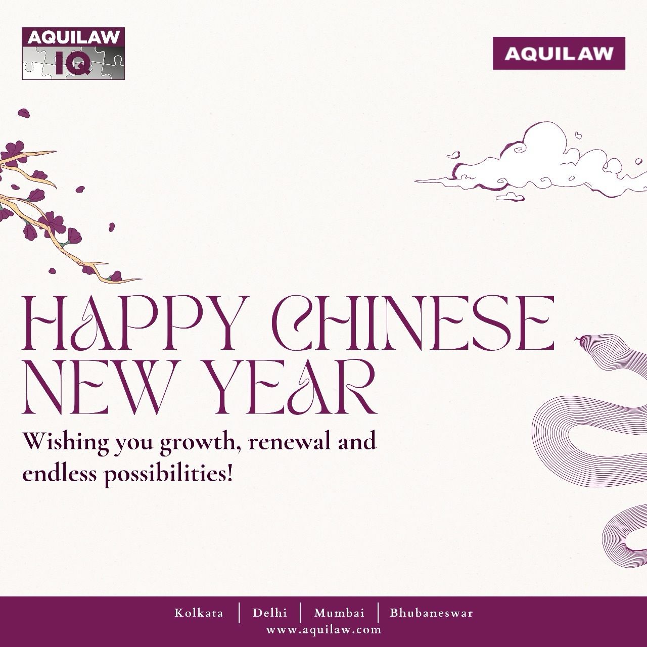 Wishing all our clients, colleagues, and friends new opportunities, meaningful connections, and shared success.  Happy Chinese New Year from all of us at AQUILAW!